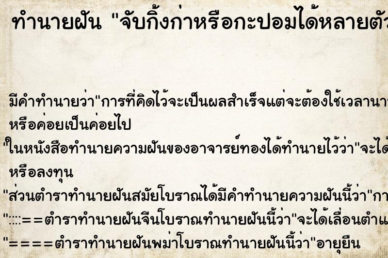 ทำนายฝันทำนายฝันจับกิ้งก่าหรือกะปอมได้หลายตัว